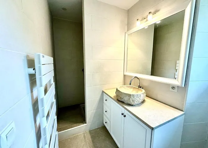 Beautiful House With 5 Bedrooms Close To Geneva * Loisin