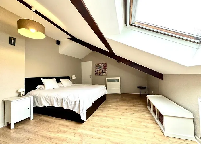 Beautiful House With 5 Bedrooms Close To Geneva *